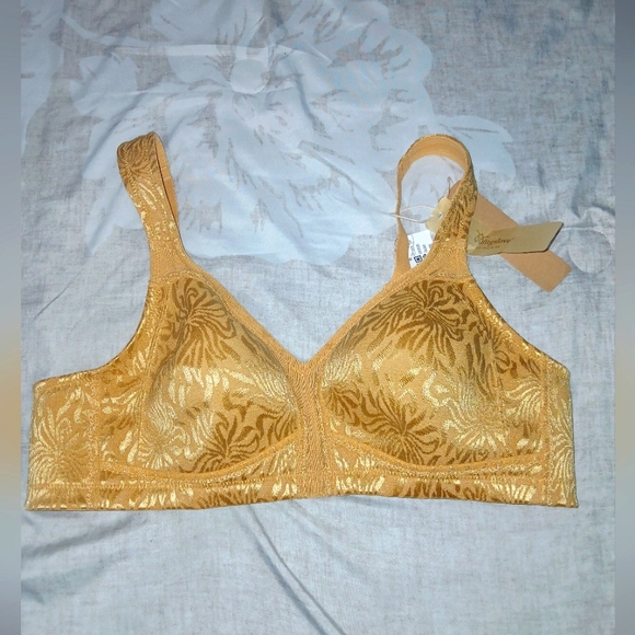 Wingslove Women's Full Coverage Bra Non Padded Wireless Gold Bra, 40B - Picture 1 of 4